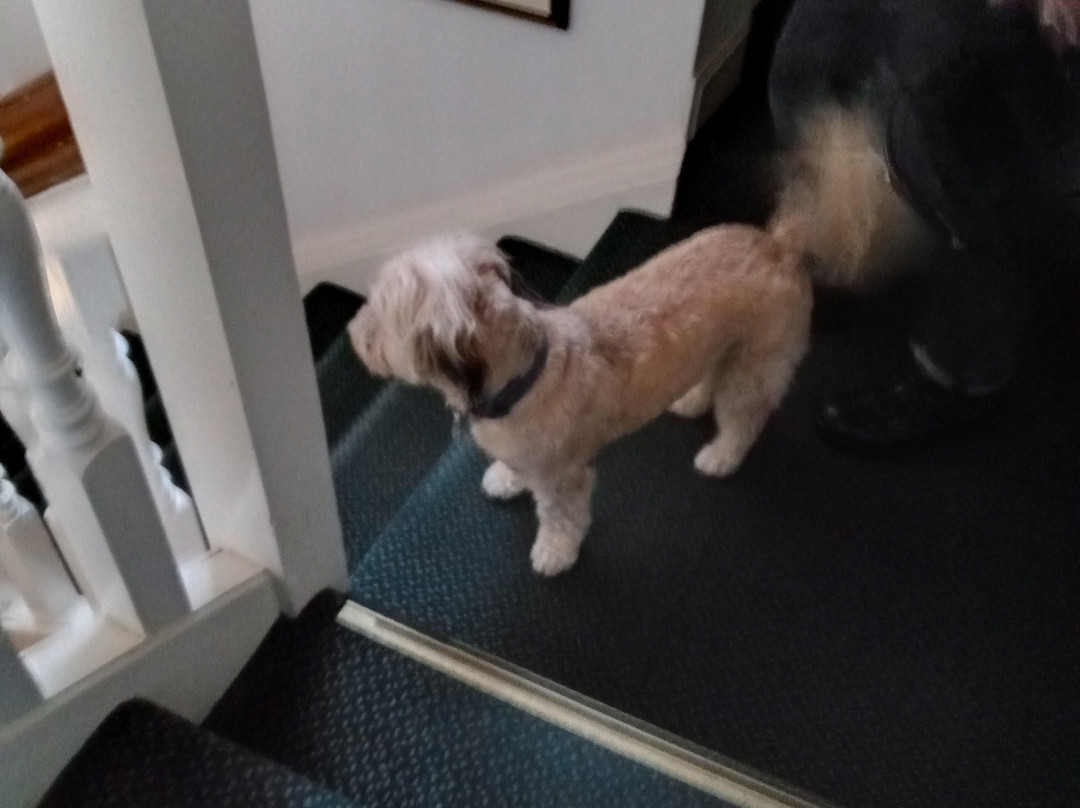 The Cross Keys Hotel主图