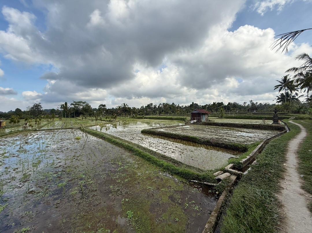 苏亚拉普拉水疗度假村主图