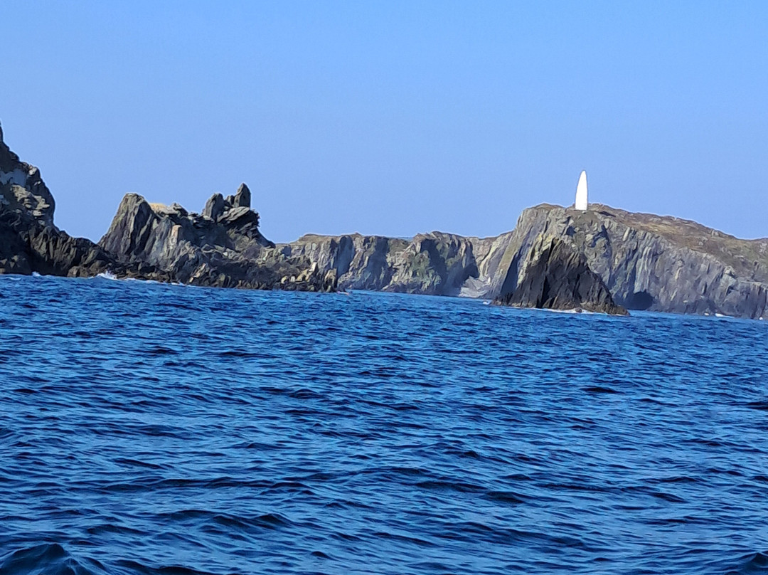 Whale Watch West Cork-Baltimore必去景点