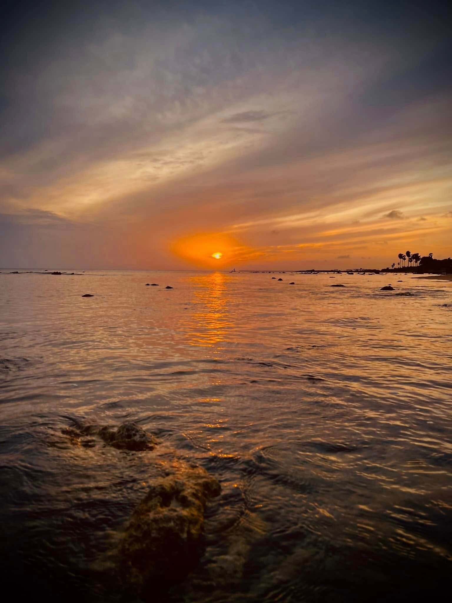 Thalsevana Holiday Resort-泳池