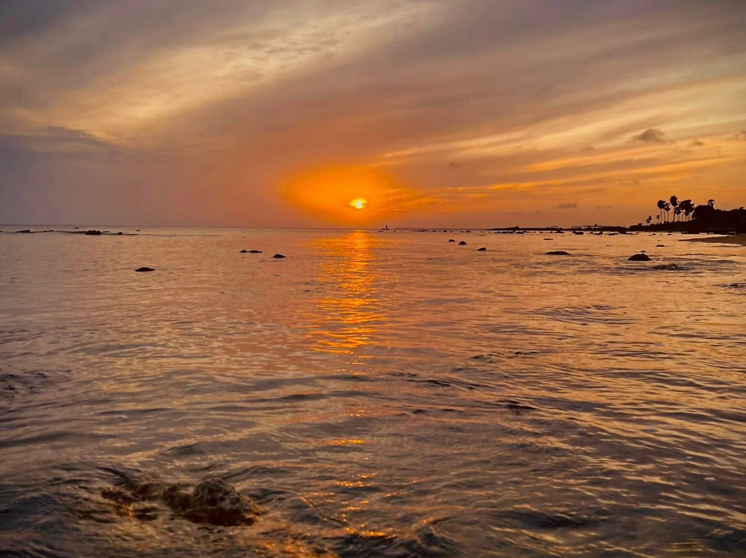 Thalsevana Holiday Resort主图