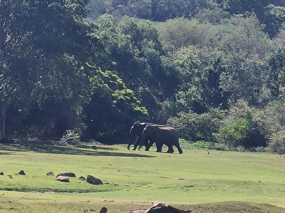 Etili Village Experience-埃勒必去景点