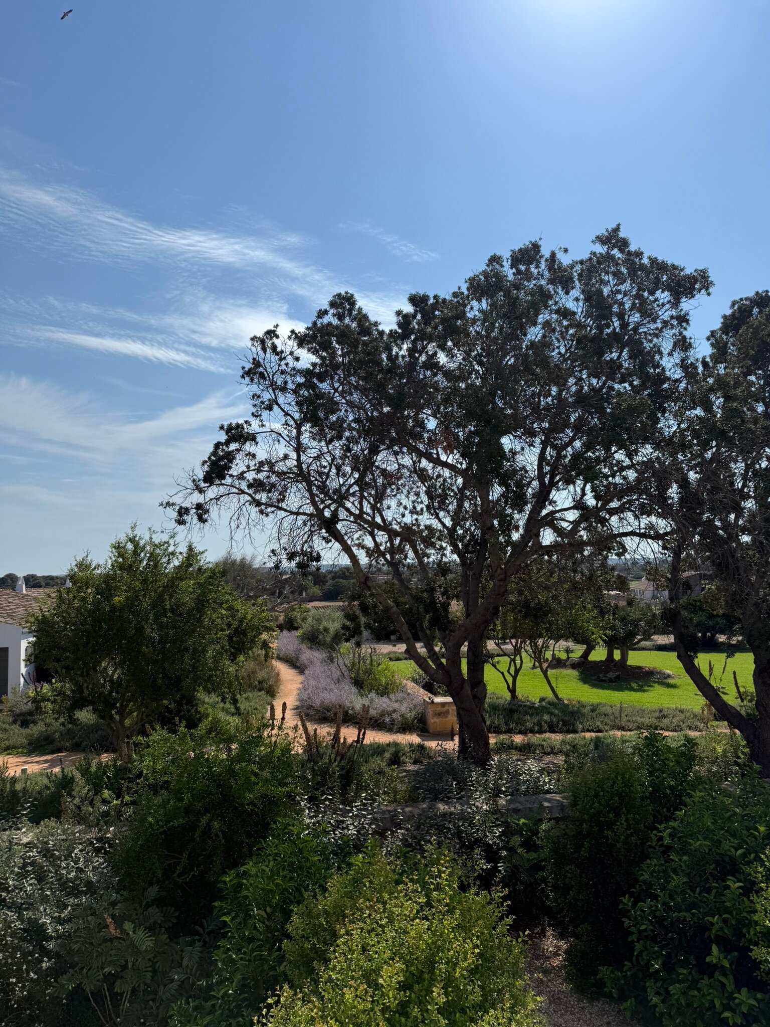 Hotel Rural Sant Ignasi-官方