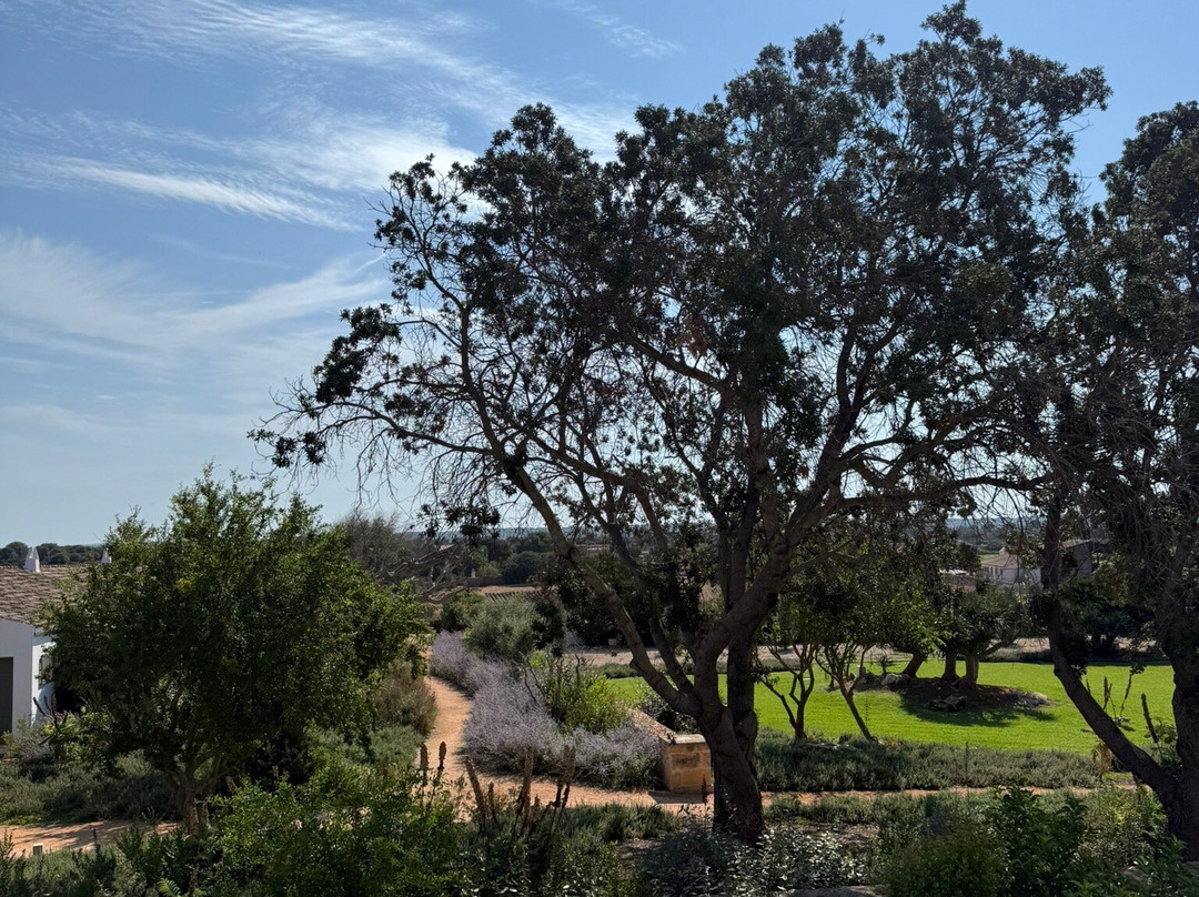 Hotel Rural Sant Ignasi主图