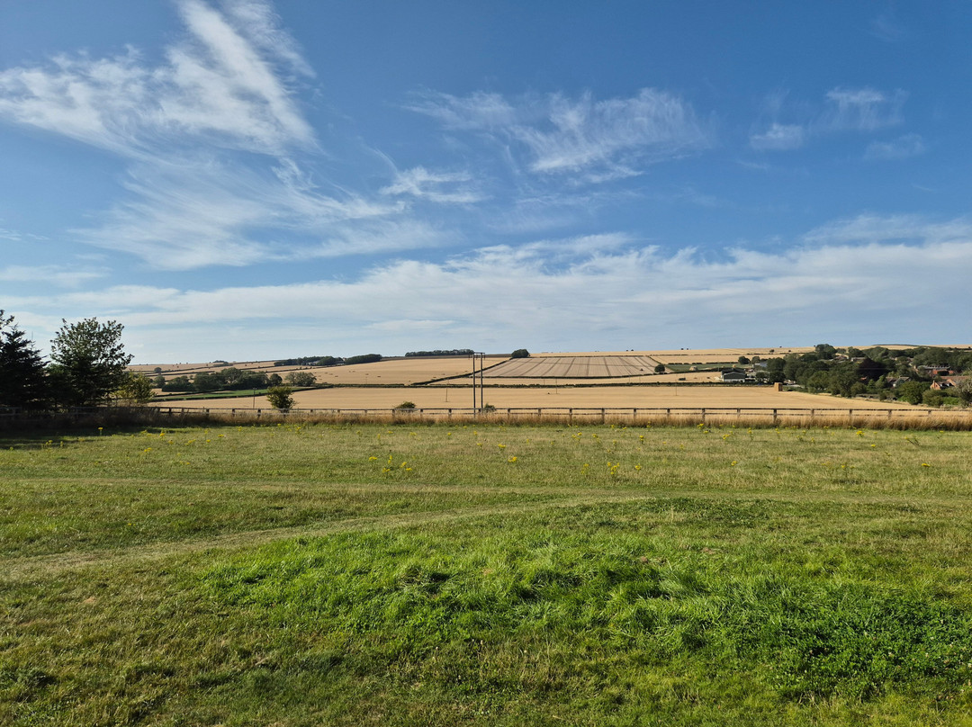Wold Meadow Yurts