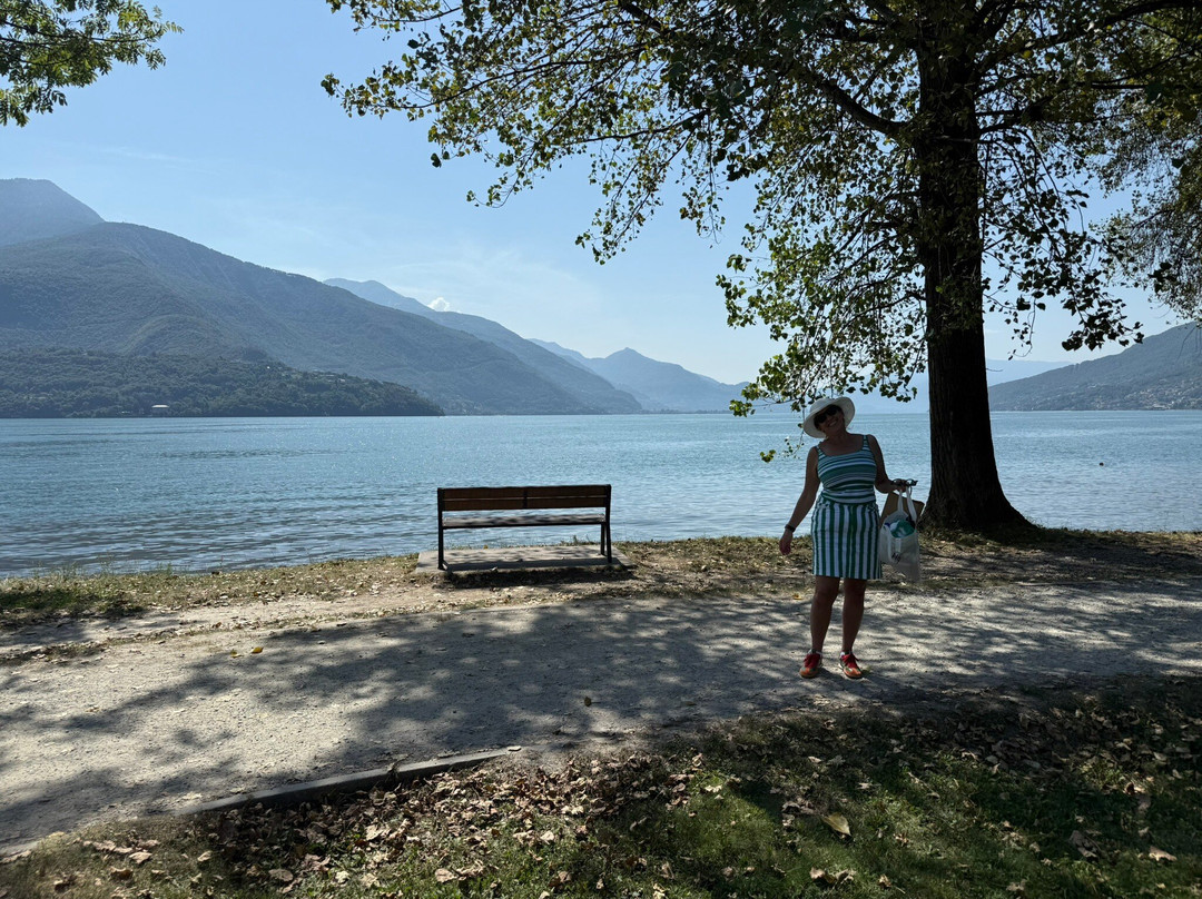 图利奥酒店主图