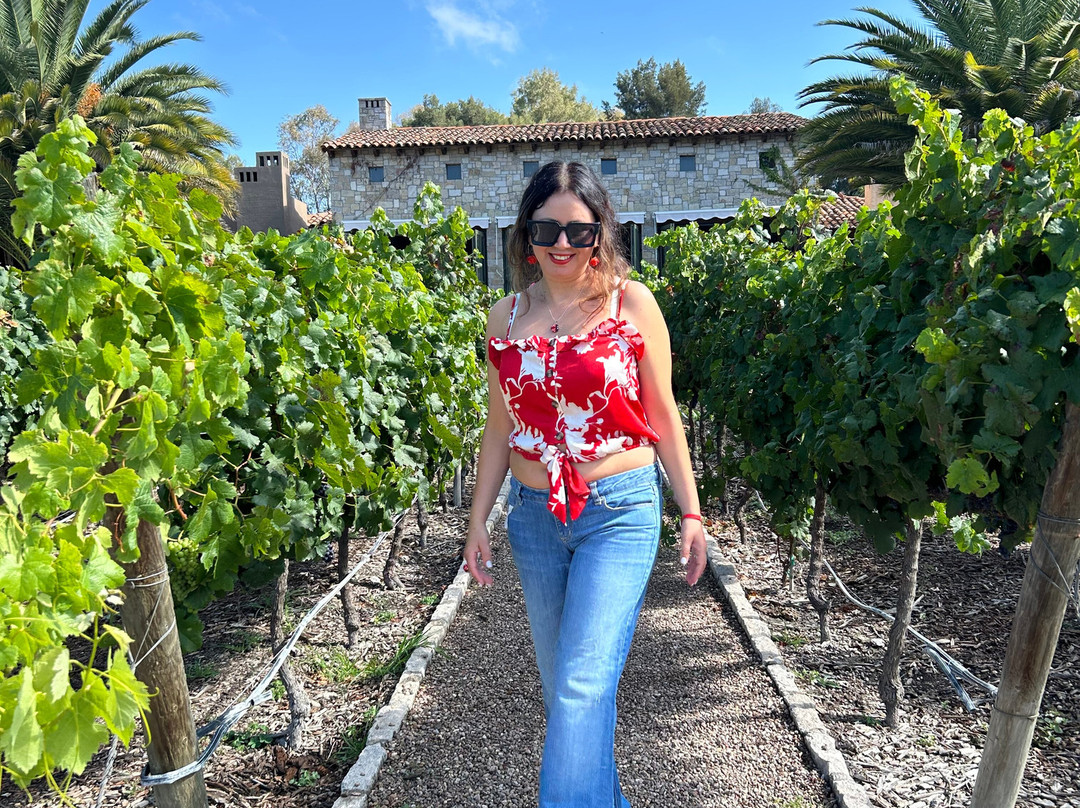 Viñedos San Lucas主图