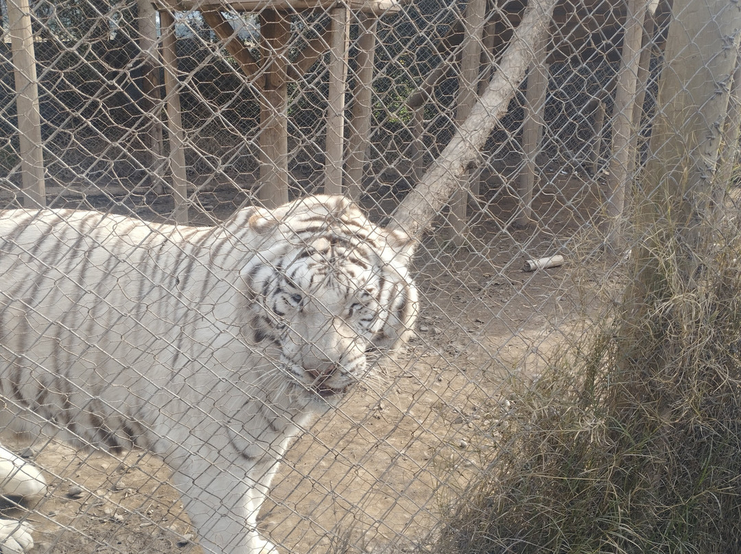 Huellitas por un sueño-Isla de Maipo必去景点
