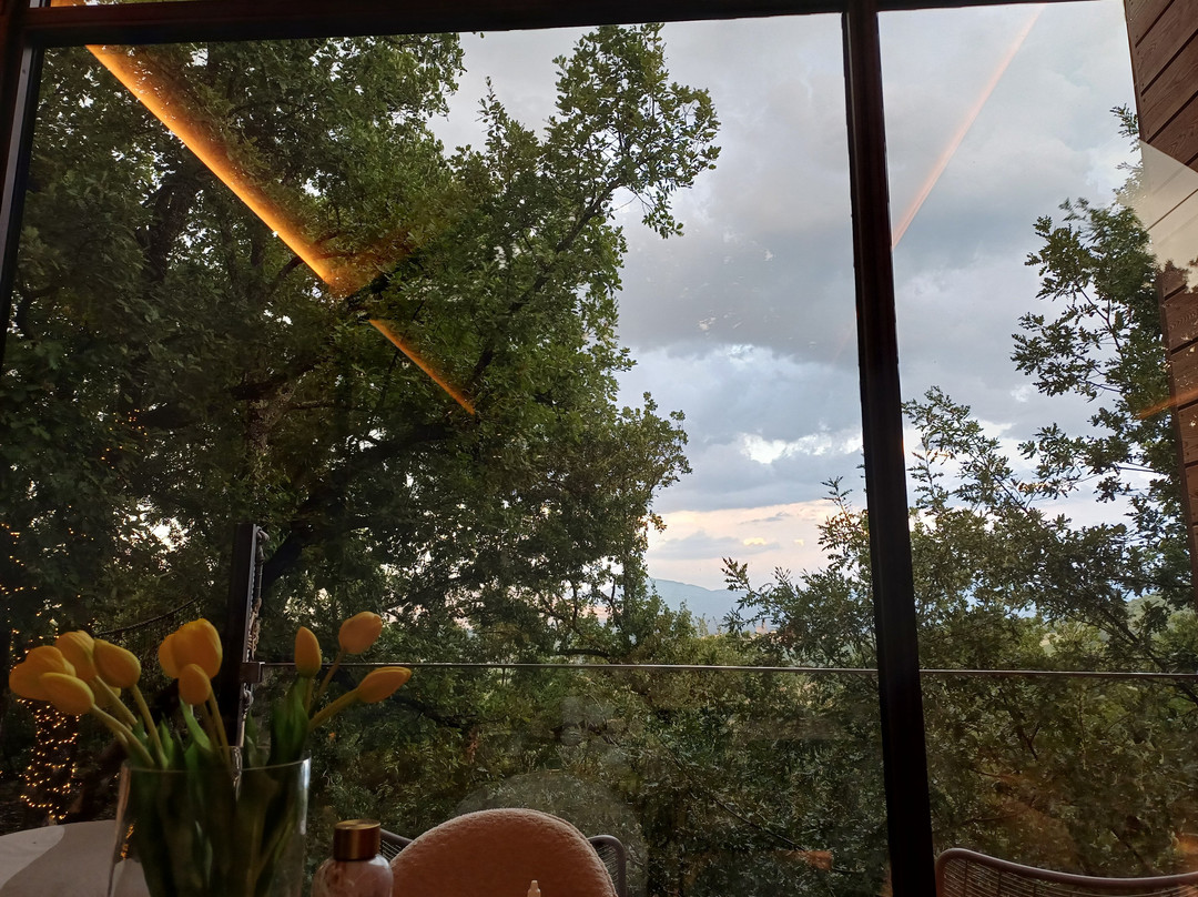 法特利切利酒店主图