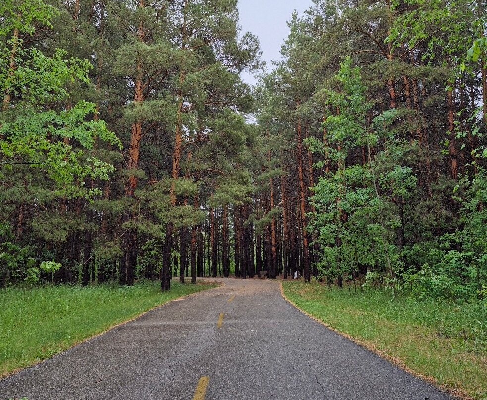 Birds Hill Provincial Park-曼尼托巴省必去景点