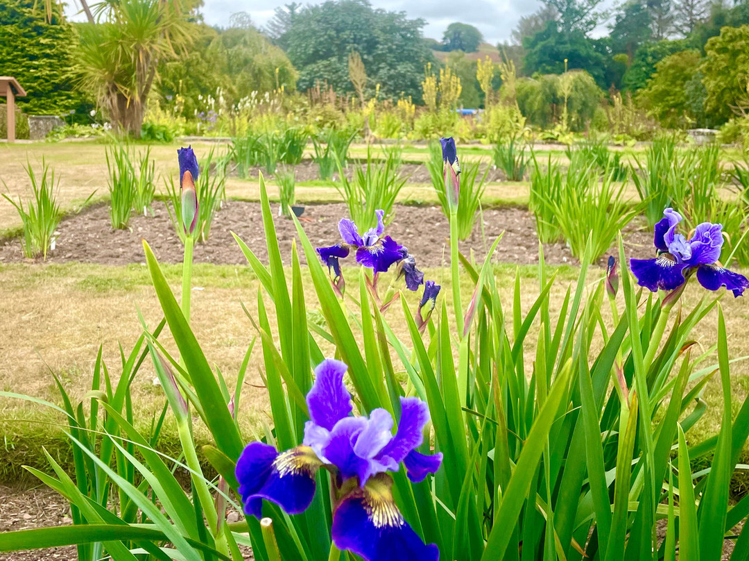 Craigtoun Country Park-圣安德鲁斯必去景点