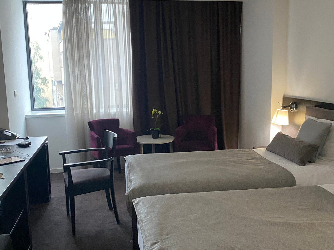 New City Hotel & Restaurant Niš主图