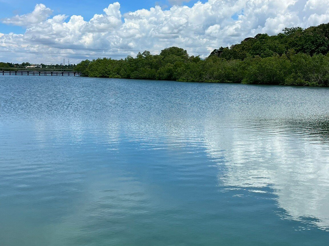 Papa Kit's Marina and Fishing Lagoon-宿雾必去景点