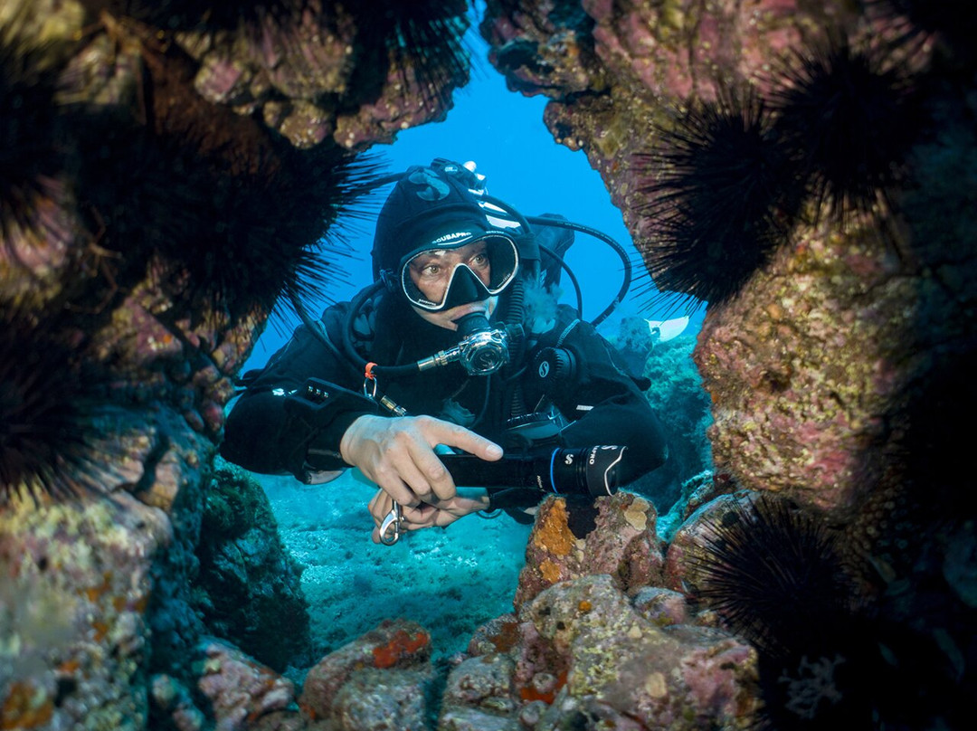 Aquarius Dive Center-阿罗纳必去景点
