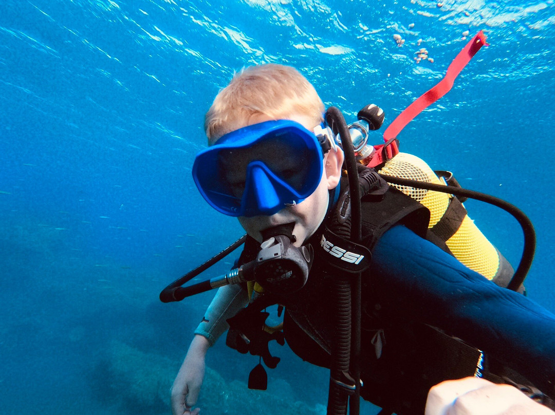Buceo Isla Bonita-La Palma必去景点