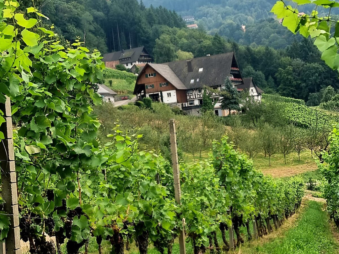 Alde Gott-Sasbachwalden必去景点