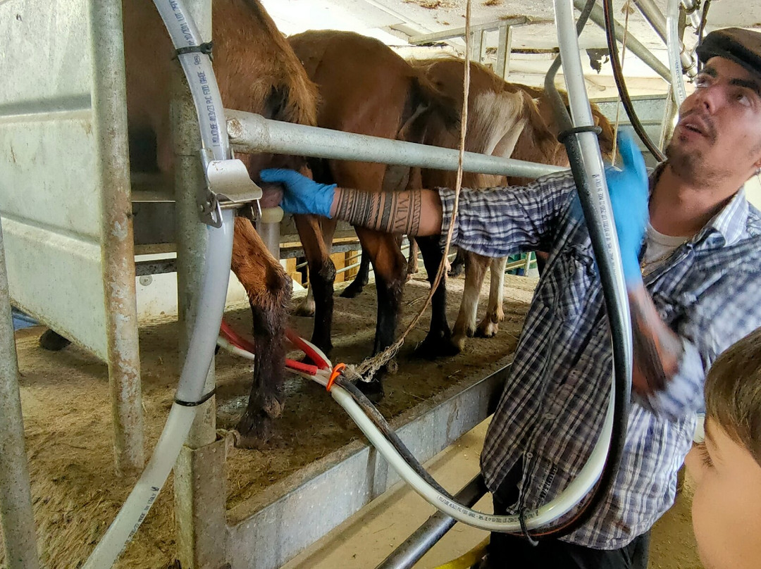 Maso Guez-San Sebastiano必去景点