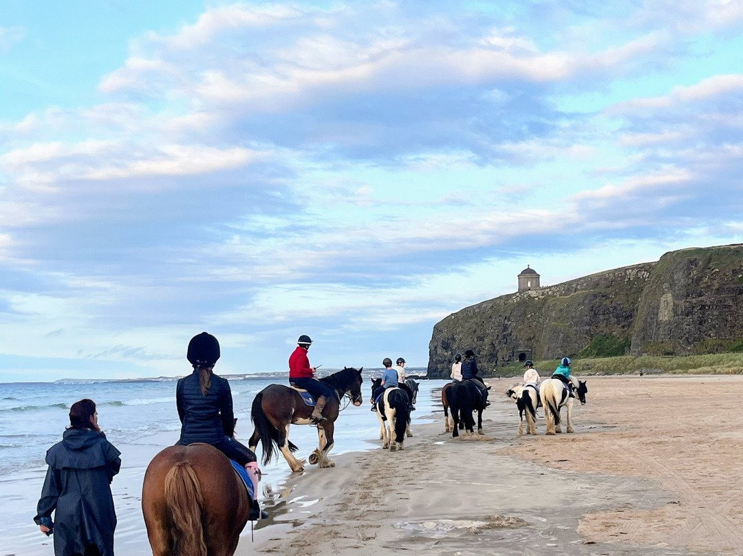 Crindle Stables-Limavady必去景点