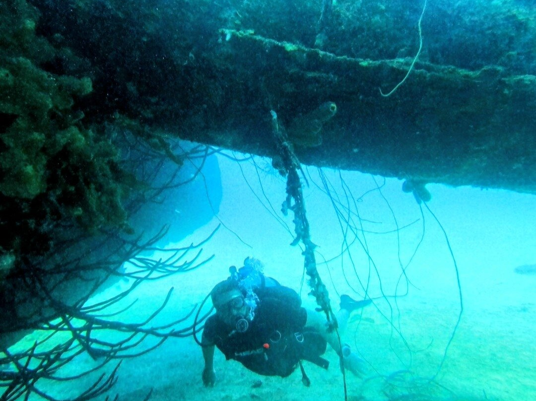 Reef Divers Bonaire-Belnem必去景点