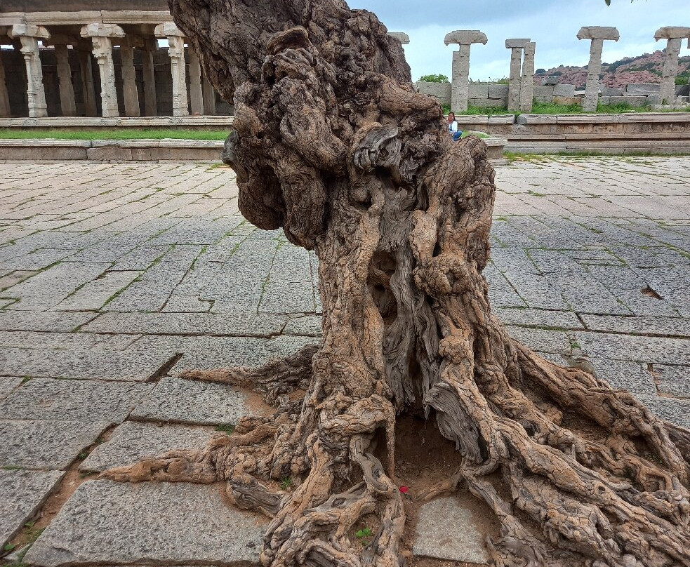 Vithala Temple Complex-亨比必去景点