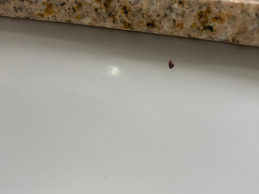 洛尔兹堡希尔顿恒庭酒店主图