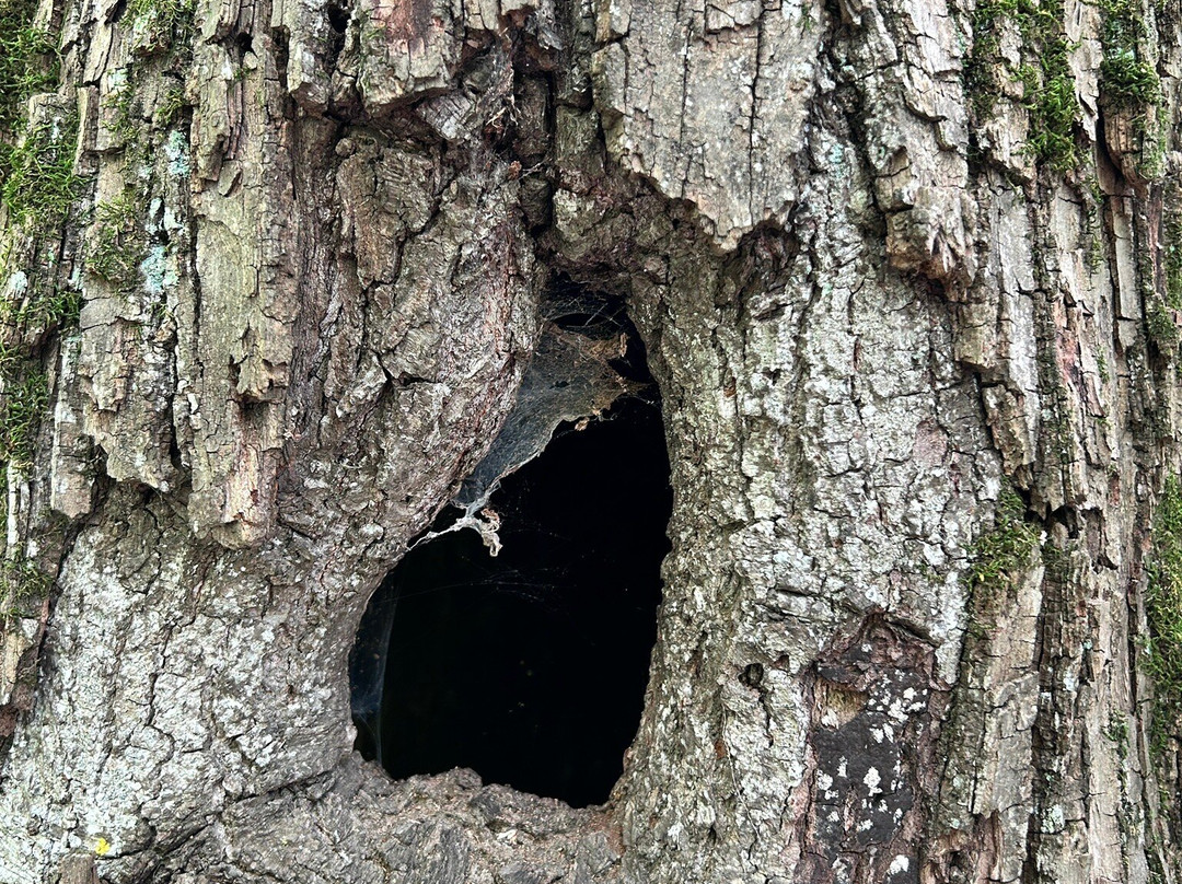 William O'Brien State Park-Marine on Saint Croix必去景点