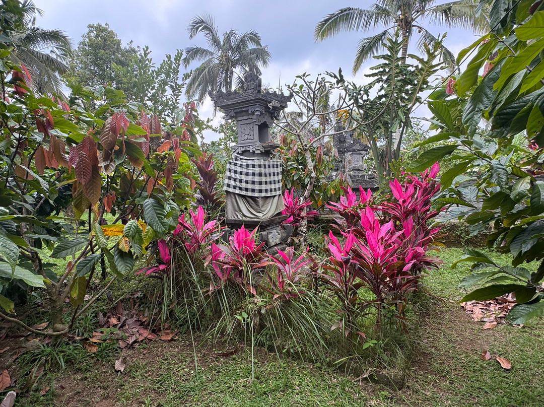 Cau Factory & Farm-达巴南必去景点