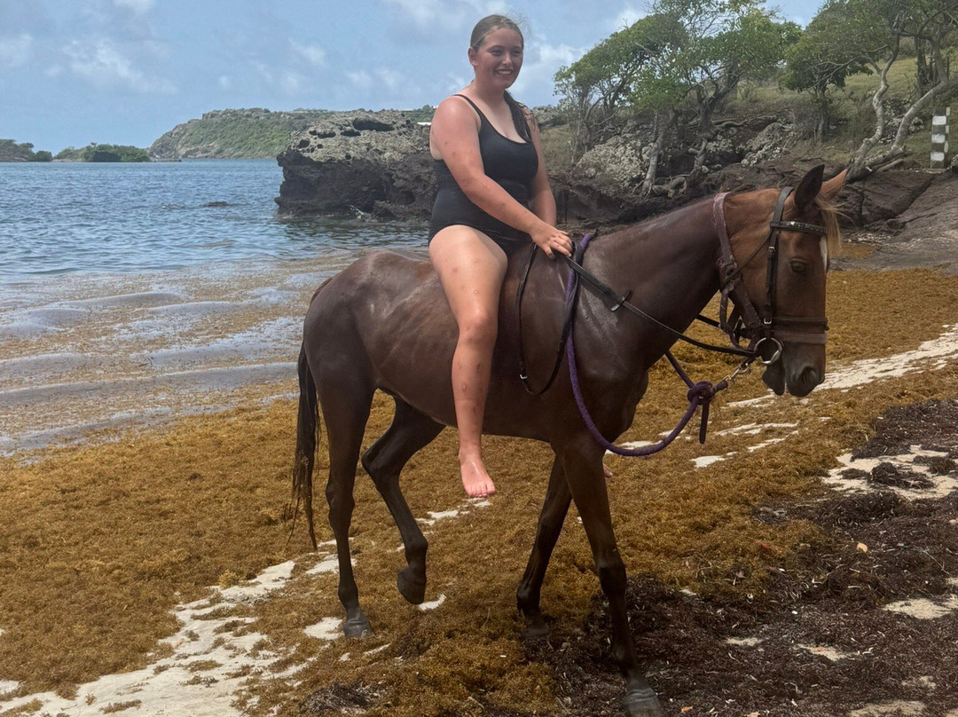 Antigua Equestrian Centre-Saint Paul Parish必去景点