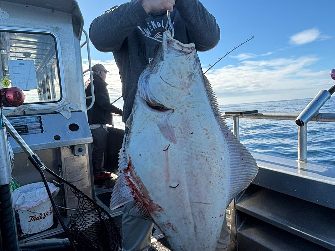 J-Dock Fishing Co.-苏厄德必去景点