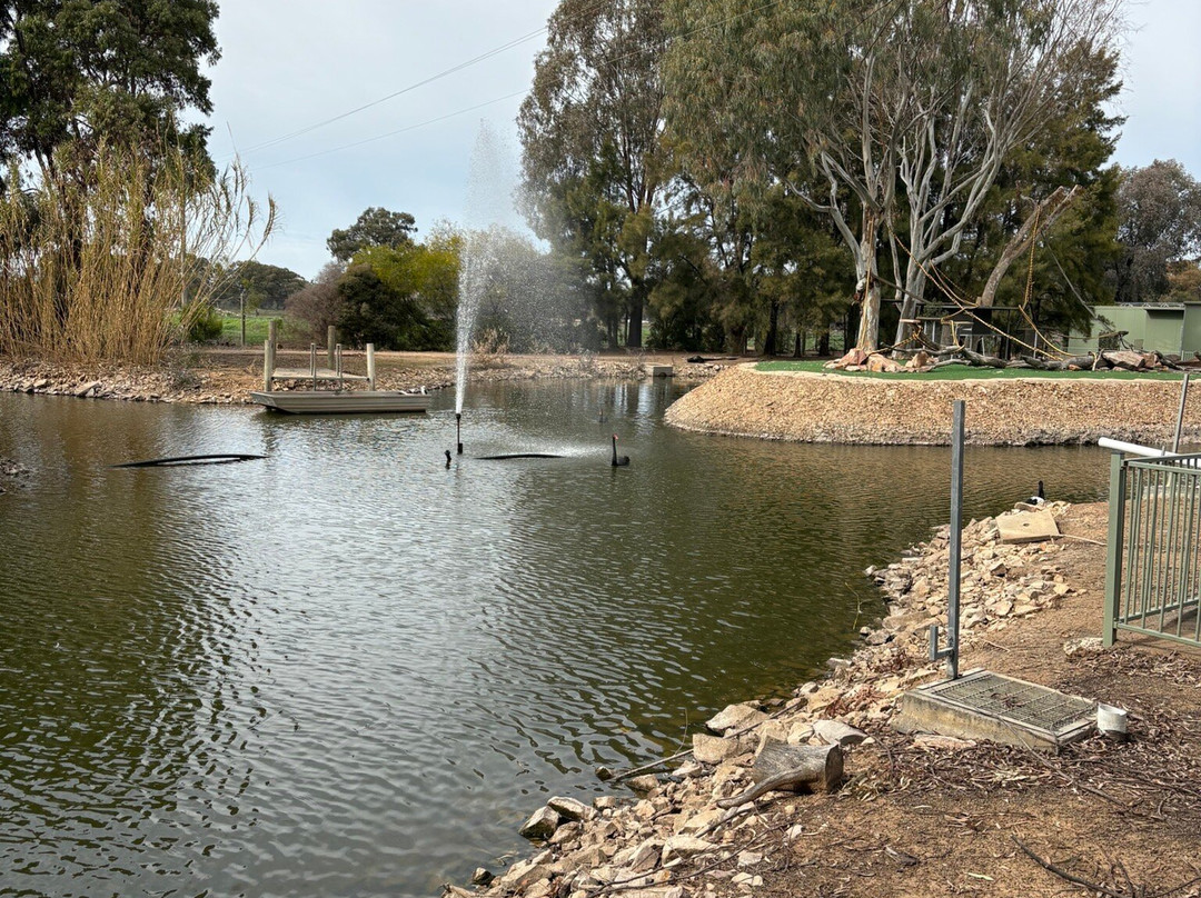 Altina Wildlife Park-Darlington Point必去景点