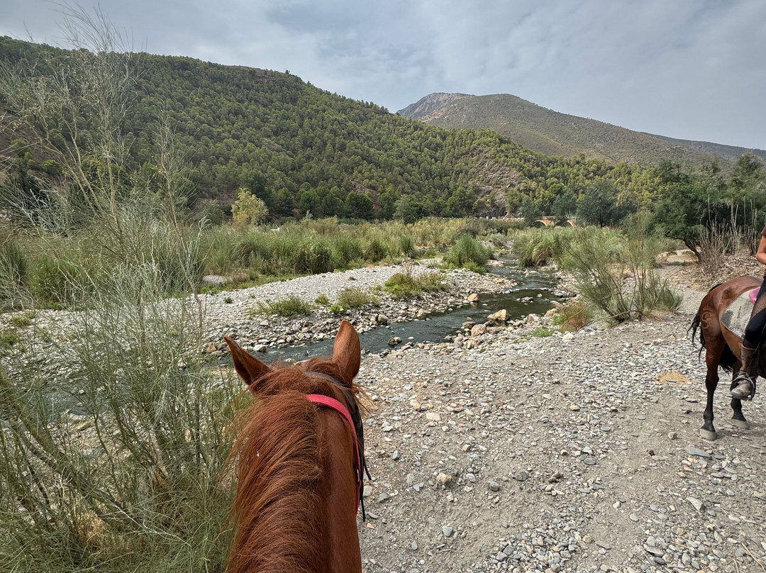 Pegasus Riding Centre-Orgiva必去景点