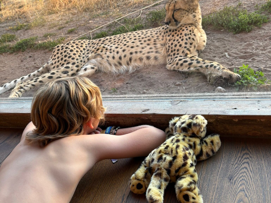 Safari Lodges At West Midlands Safari Park主图
