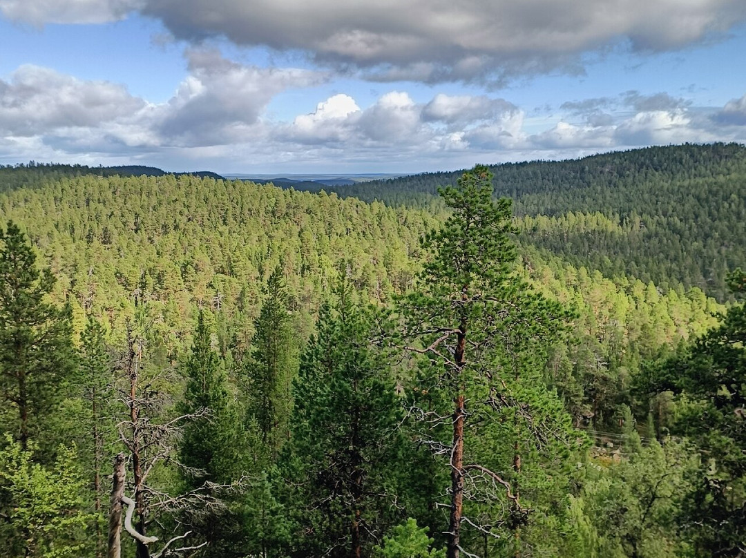 Karhunpesakivi-伊纳里必去景点