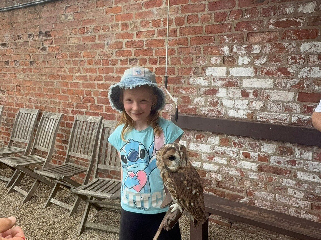 Thirsk Birds Of Prey Centre-瑟斯克必去景点