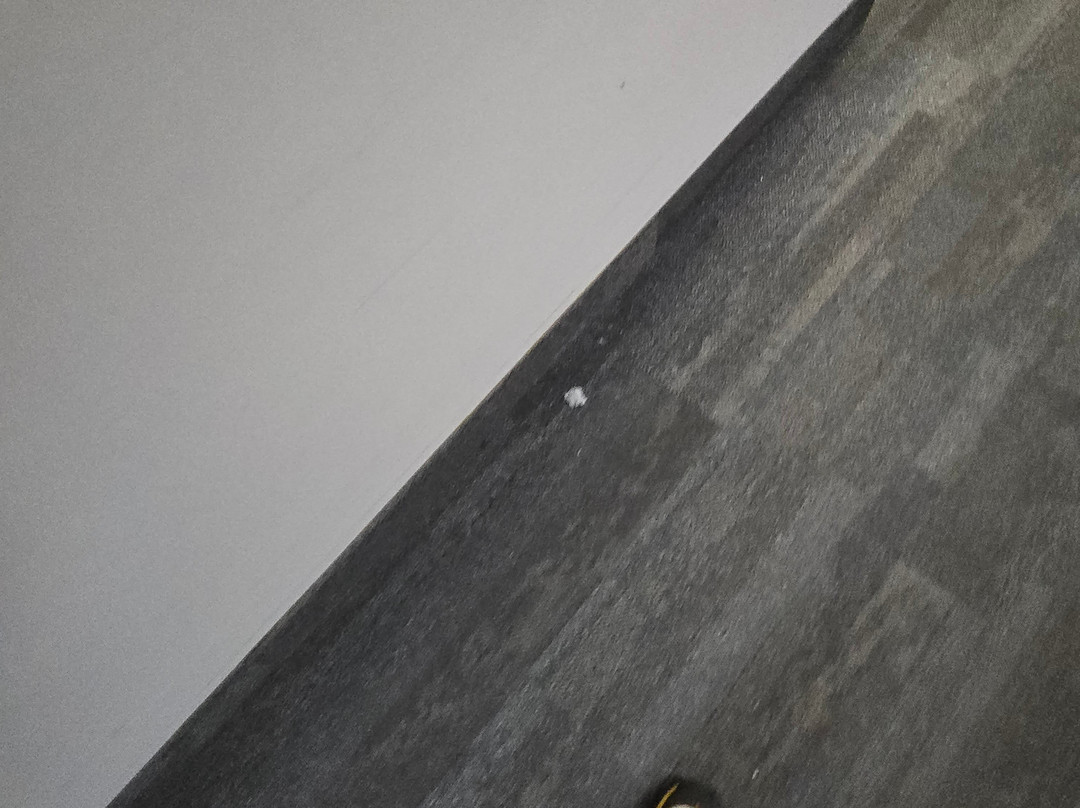 亨利四世里普特酒店主图