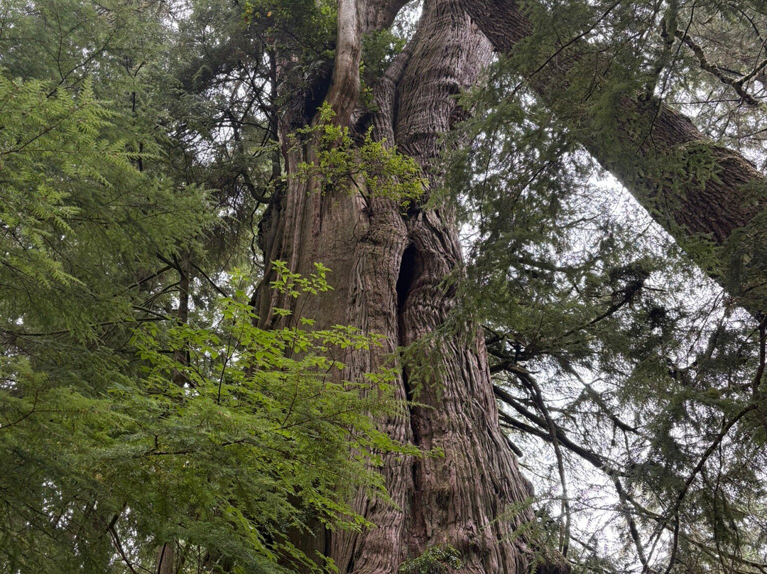 Cedar Wetlands Preserve-Rockaway Beach必去景点