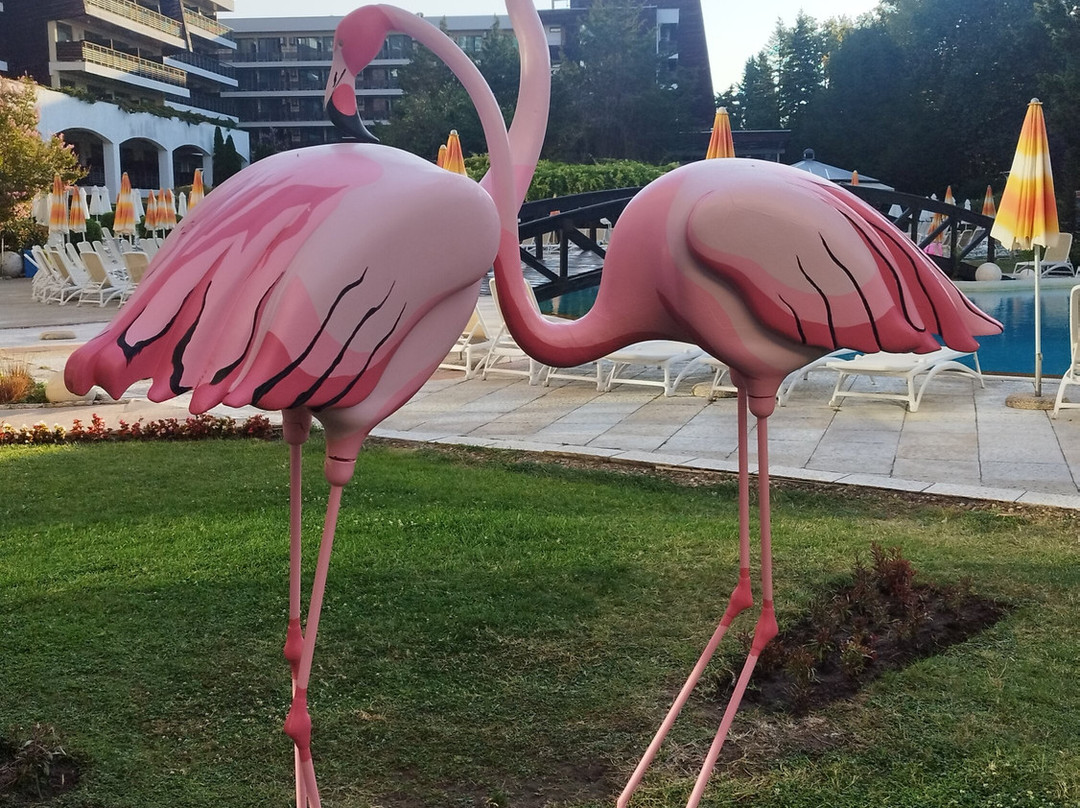 Flamingo Hotel