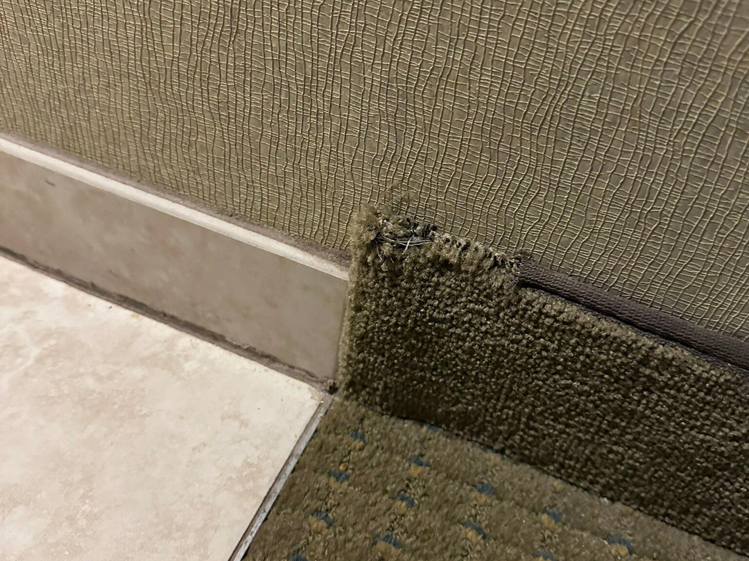 Zehnders Splash Village主图