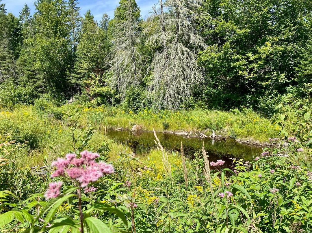 Nomade Quad-Sainte-Rose-du-Nord必去景点