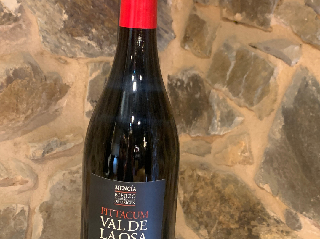 Bodegas Pittacum-Arganza必去景点