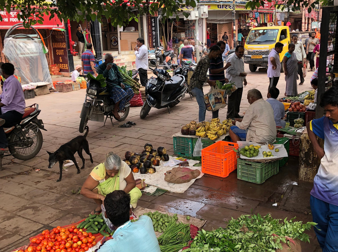 Varanasi Voyages Tours & Travels-瓦拉纳西必去景点
