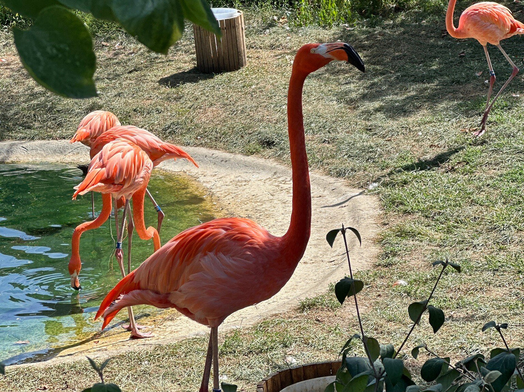 Indianapolis Zoo-印第安纳波利斯必去景点