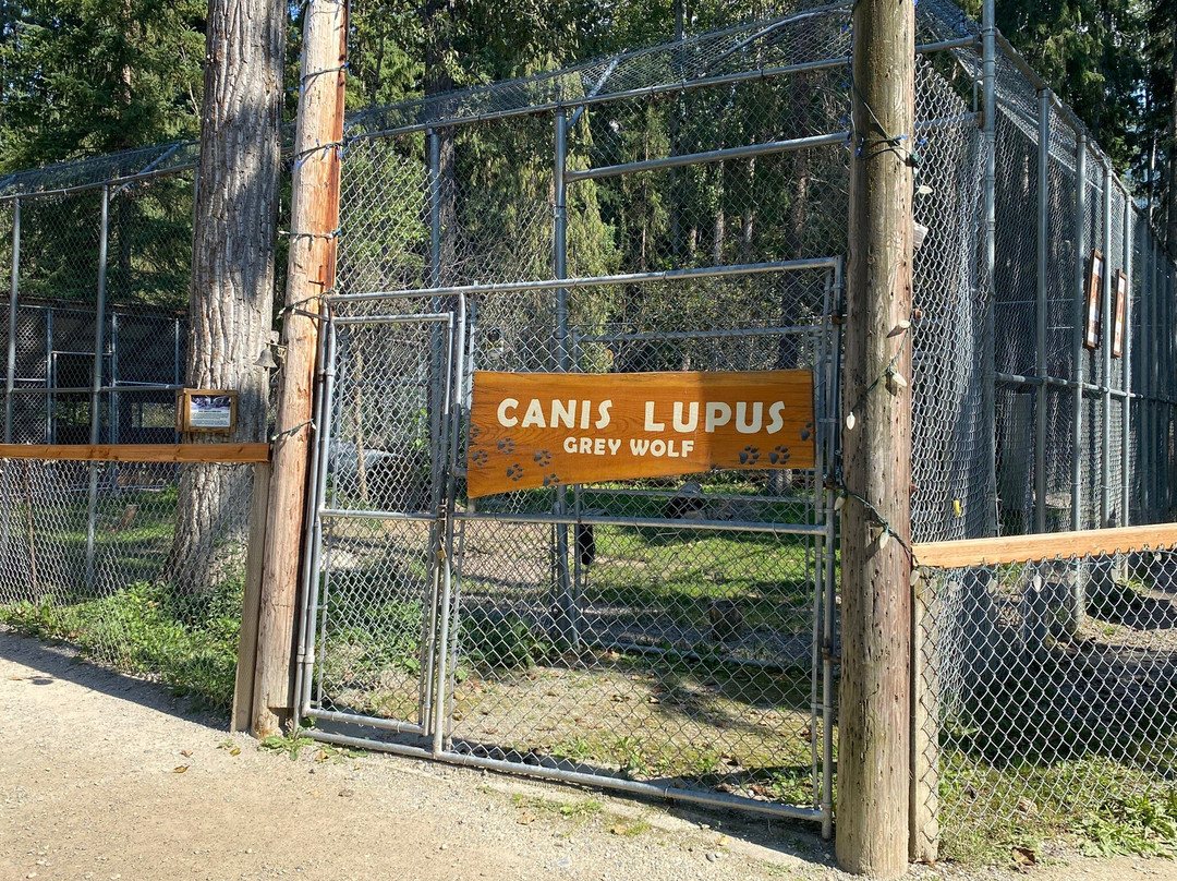 Northern Lights Wildlife Wolf Centre-戈尔登必去景点