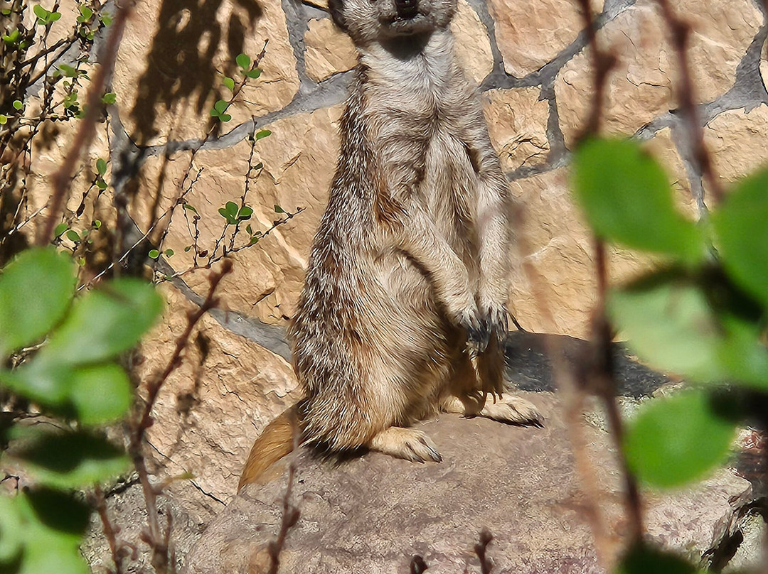 Oliwa Zoo-格但斯克必去景点
