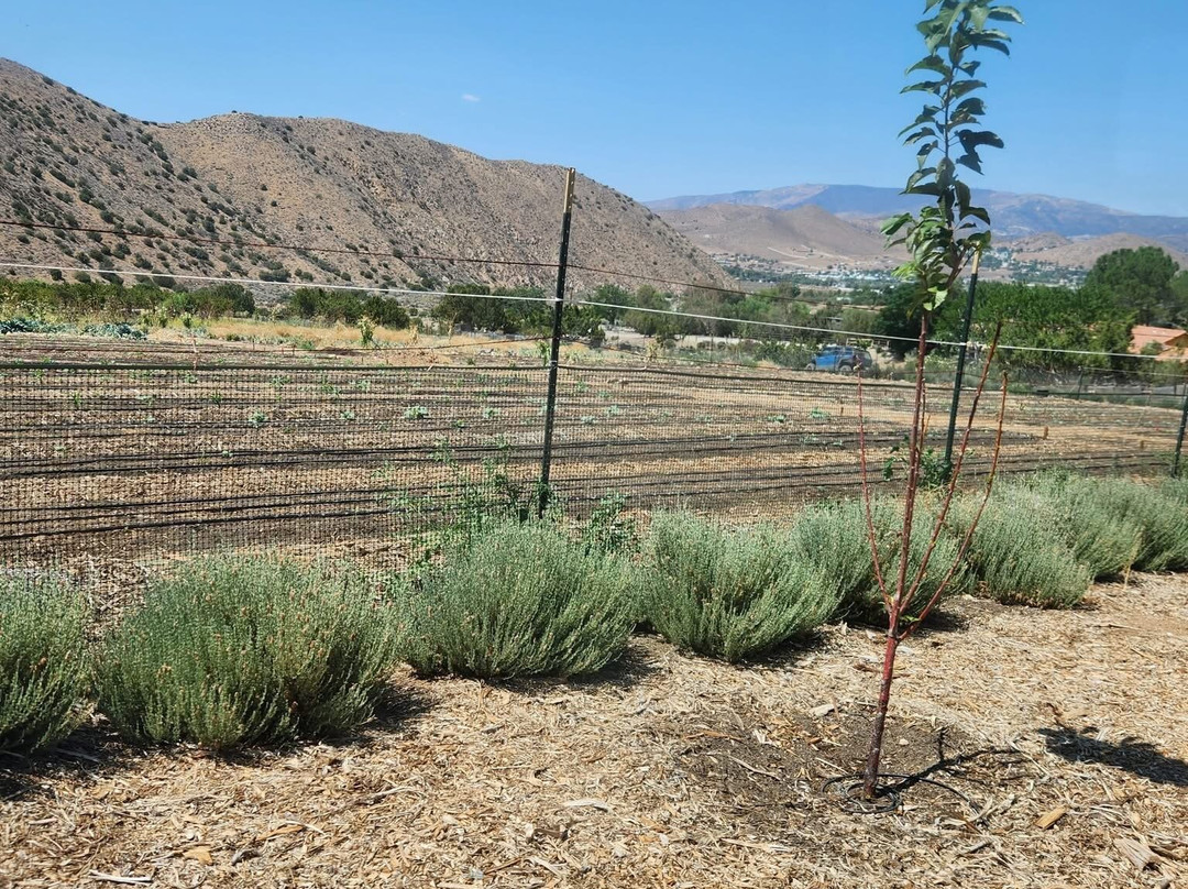 Bloom Ranch Of Acton-ACTON)必去景点