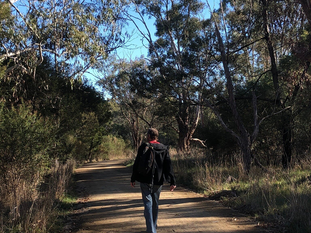 Jells Park-威勒斯山必去景点