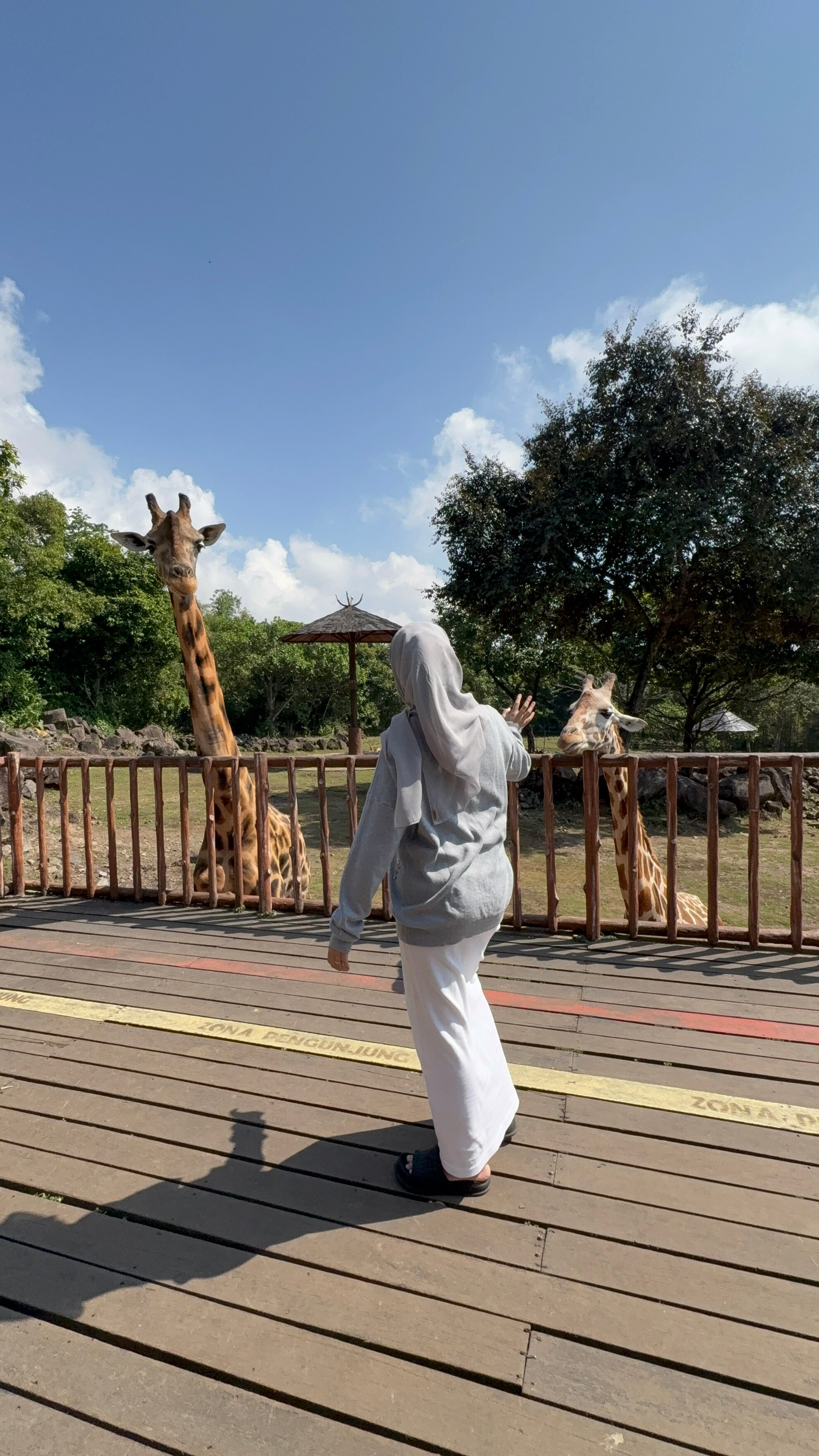 Baobab Safari Resort-官方