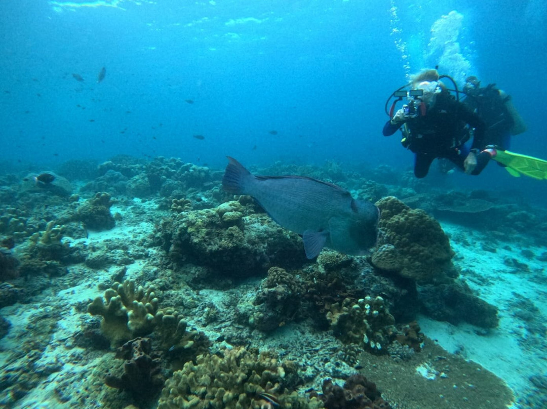 仙本那马布岛潜水度假村主图