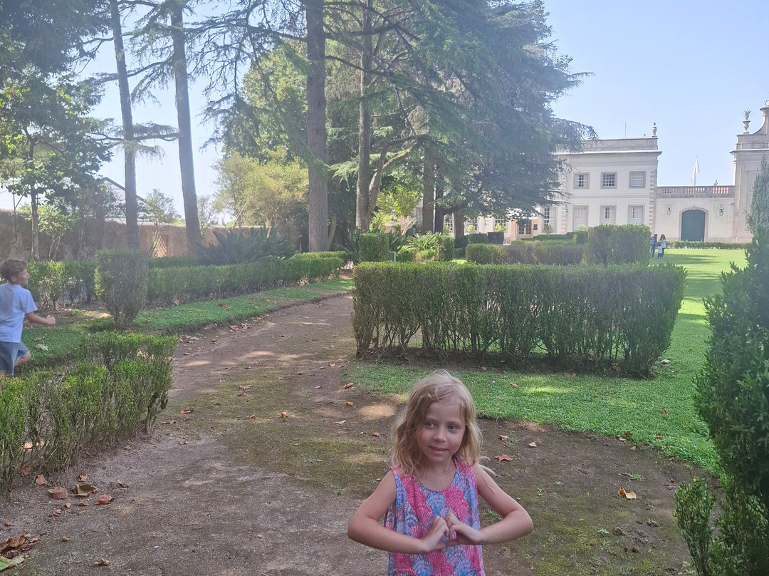 Tours Bernardo-辛特拉必去景点