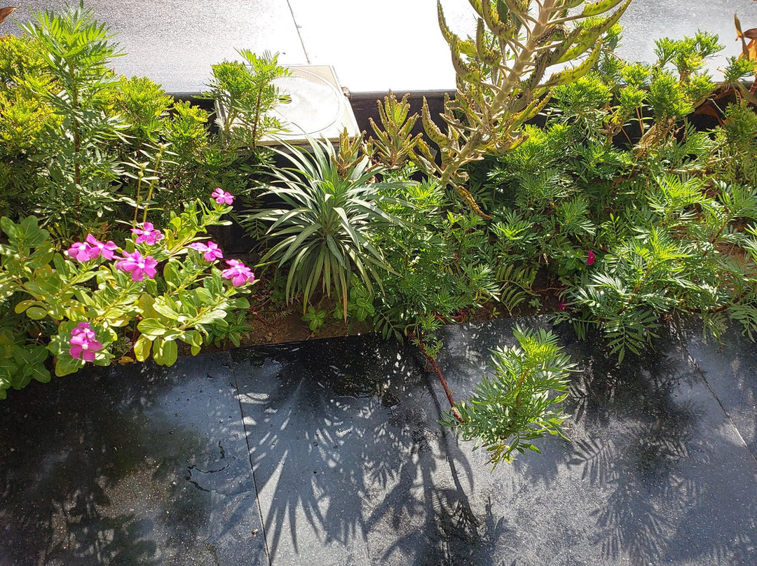 Triumph Plaza Hotel主图